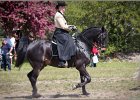 Pferd International 047